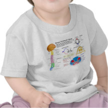 Diagramme de la colonne vertébrale humaine t-shirts