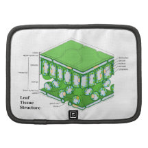 Diagramme de structure de tissu de feuille agendas folio