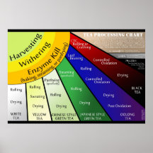 Diagramme de traitement de rayon de thé affiche