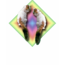 Diamant et chats d'arc-en-ciel t-shirts