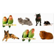 dieren visitekaartjes