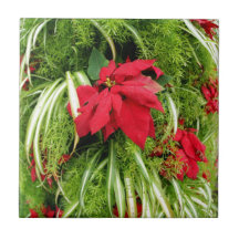 Disposition de Noël de poinsettia Carreaux