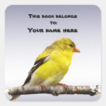 Distelvink Vierkante Sticker