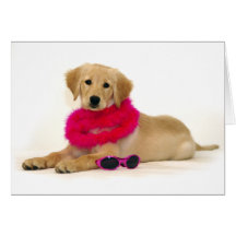 Diva de chiot de golden retriever carte
