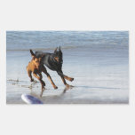 Doberman en Spel Rhodesian Ridgeback - Frisbee Rechthoekige Sticker