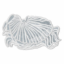 Document Nautilus