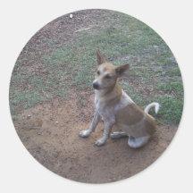 Dog@5.JPG Adhésifs Ronds