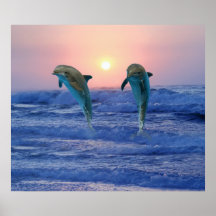 Dolfijnen bij zonsopgang plaat