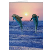 Dolfijnen bij zonsopgang wenskaarten