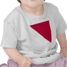 Domaine de Choshu, drapeau du Japon T-shirt