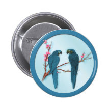 Double problème pin's avec agrafe