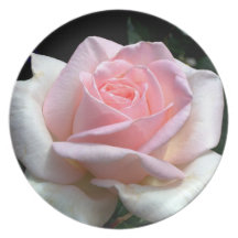 Doucement rose de rose assiettes