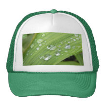 Douches d'avril casquettes