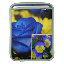 Douille d'iPad de Rickshaw Poches Pour iPad