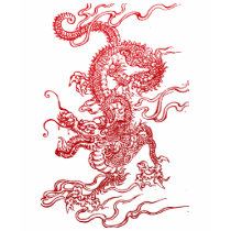 Dragon chinois t-shirt