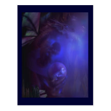 Dragon d'eau 2011 cartes postales