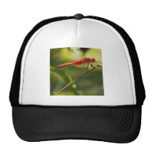 Dragon rouge casquette de camionneur