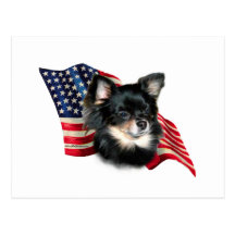 Drapeau de chiwawa cartes postales