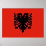 Drapeau de l'Albanie Affiches