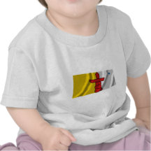 Drapeau de Nunavut, Canada T-shirts