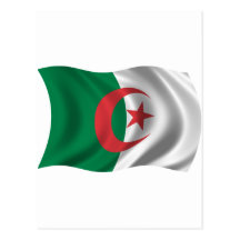 Drapeau onduleux de l'Algérie Carte Postale