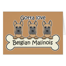 Drie Belgische Malinois Wenskaarten
