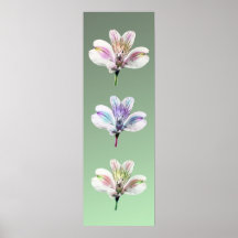 Drie Tijger Lilly Print