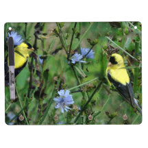 Droge Finches wist Raad