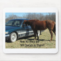 Drôle cheval du cheval "300 "