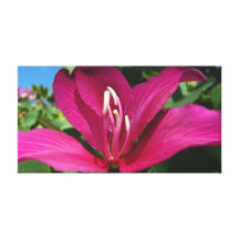 Druk van het Canvas van de Boom van de orchidee de Gallerij Wrapped Canvas