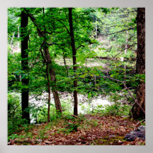 Druk-Vensonia 2010 Print
