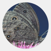 Dryade op roze distel tegen blauwe hemel ronde sticker