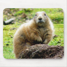 DSCF3178 TAPIS DE SOURIS