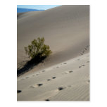 Duinen 4 van de Vallei van de dood Wenskaarten