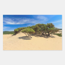 Dune de Piscinas - Sardaigne, Italie Autocollant