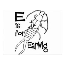 e est pour earwig.jpg cartes postales