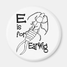 e est pour earwig.jpg magnets