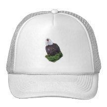 Eagle criant casquette