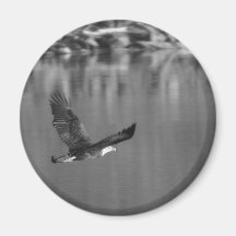 Eagle Koelkast Magneetje