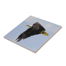 Eagle pilotant le carreau de céramique