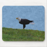Eagle Tapis De Souris