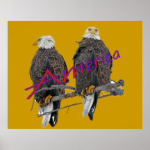 Eagles jumel Amérique Affiche