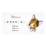 Écaille (chat d'écaille) cartes avec photo