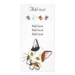 Écaille (chat d'écaille) cartes de vœux avec photo