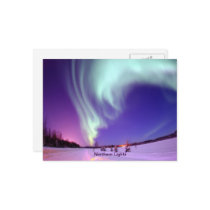 Éclat de lumières du nord en ciel d'Alaska Cartes Postales