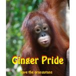 Économies de fierté de gingembre les orangs-outans