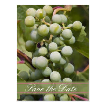 Économies de mariage de vignoble le faire-part de  cartes postales