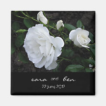 économies de rose blanc l'aimant de date