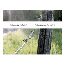 Économies rustiques de barbelé de Fencepost la dat Cartes Postales