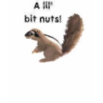 Écrous d'un lil'bit ! t-shirts